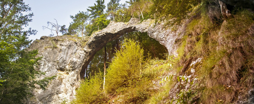 Ekološki hotel Arche, planinski odmor - Kuponko.si