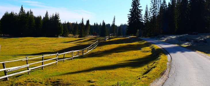 Planinarski dom Pokljuka: 2x noćenje, korištenje saune - Kuponko.si