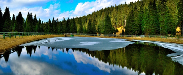 Apartmani Zero, Zreče - Rogla, odmor u prirodi - Kuponko.si