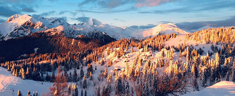 Velika planina resort, najam autentične brvnare - Kuponko.si