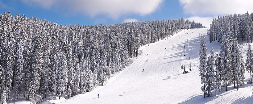 Hotel Natura 4*, Rogla: odmor s polupansionom - Kuponko.si