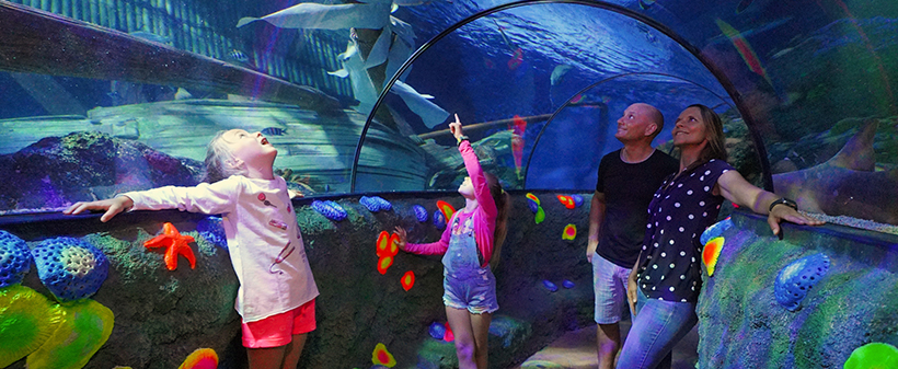 Zabavni park Gardaland i Sea Life akvarij - Kuponko.si