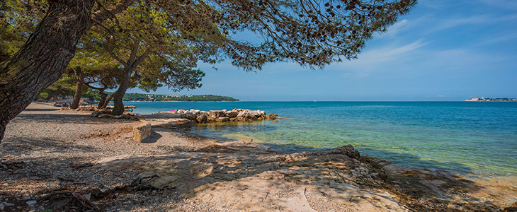 Lanterna Premium Camping Resort 4*: mobilne kućice - Kuponko.si