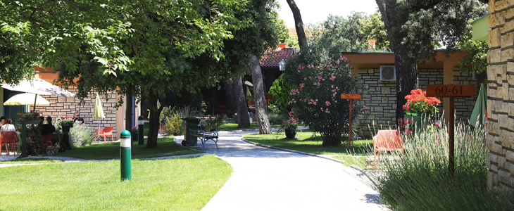 Mediteransko selo San Antonio, Biograd - Kuponko.si
