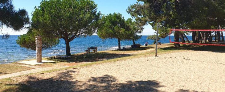 Family Bungalow Pineta: 3x nočitev - Kuponko.si