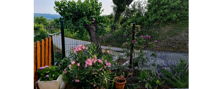 Casa Villanova Romance, Istra: odmor s wellnessom - Kuponko.si