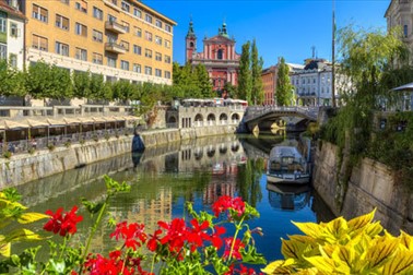 Panoramsku vožnja po Ljubljanici! Panoramsku vožnja po Ljubljanici!
