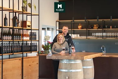 Turistička farma Marof, posjet vinskom podrumu Turistička farma Marof, posjet vinskom podrumu