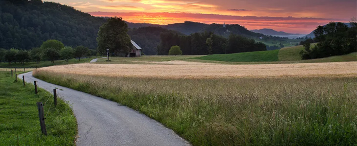 Turistička farma Marof, posjet vinskom podrumu - Kuponko.si