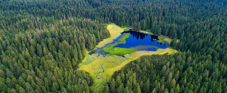 Pohorje Village Wellbeing Resort: gondola i piknik - Kuponko.si