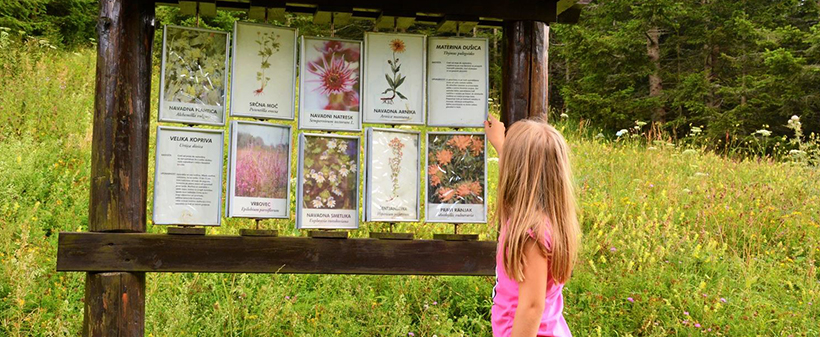 Golte, Wellness Hotel Montis, Avantura park Golte. - Kuponko.si