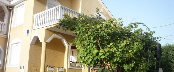  v idiličnem krajuApartmani Ive i Slave, Sukošan: mor - Kuponko.si