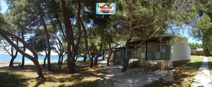 Family Bungalow Pineta: 2x nočitev - Kuponko.si