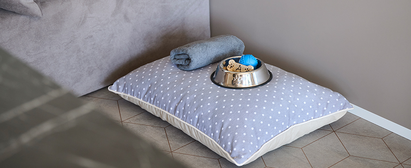 Aminess Planet Camping Holiday Homes Sirena 4* Novigrad - Kuponko.si