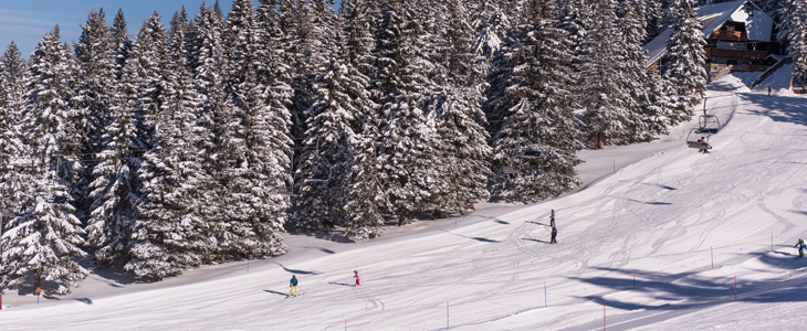 RTC Krvavec - skijaške karte i obrok - Kuponko.si