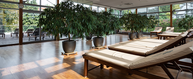 Grand hotel Donat Superior, Rogaška Slatina: odmor za 2 - Kuponko.si Grand hotel Donat Superior, Rogaška Slatina: odmor za 2 - Kuponko.si