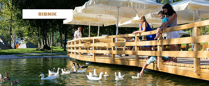 Eko Resort kupon, Velika Planina, wellness odmor - Kuponko.si