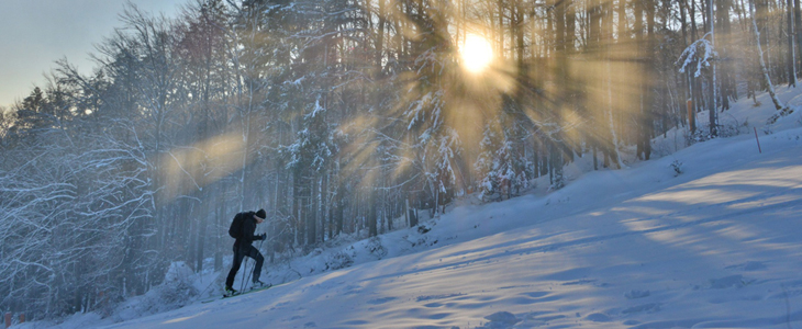 Wellness & Spa Hotelu Bolfenk 4*, Pohorje - Kuponko.si