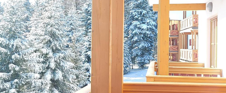 Apartmani Forest Videc 3*, Mariborsko Pohorje - Kuponko.si