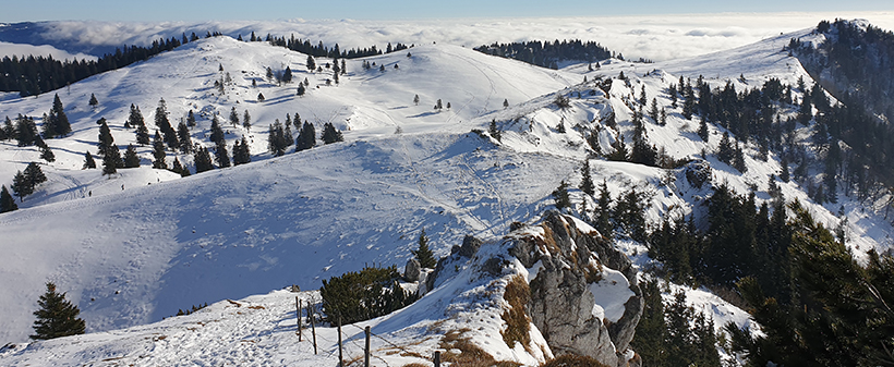 Velika planina resort, najam planinske kolibe - Kuponko.si