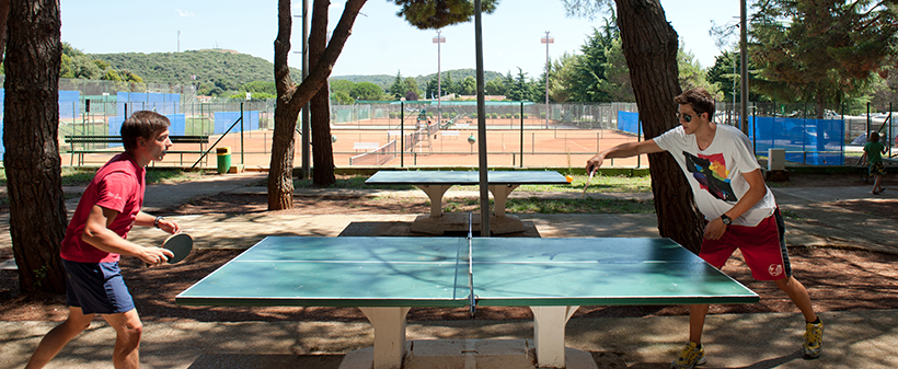 Kamp Porto Sole Vrsar, najam mobilne kućice - Kuponko.si