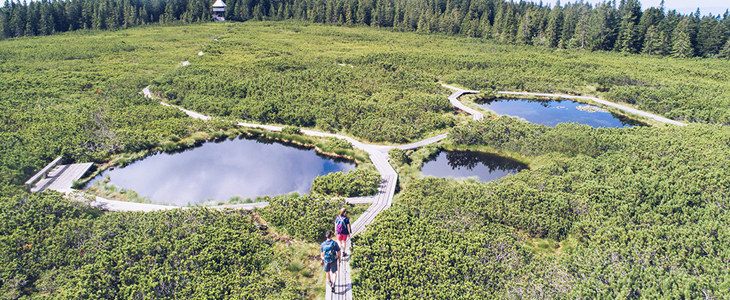 Wellness & Spa Hotelu Bolfenk 4*, Pohorje - Kuponko.si
