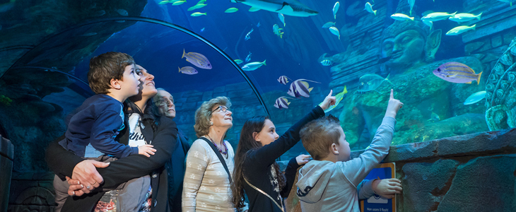 Zabavni park Gardaland: ulaznica - Kuponko.si