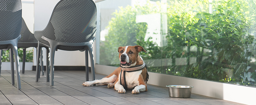 Camping Plitvice; premium mobilne kućice - Kuponko.si