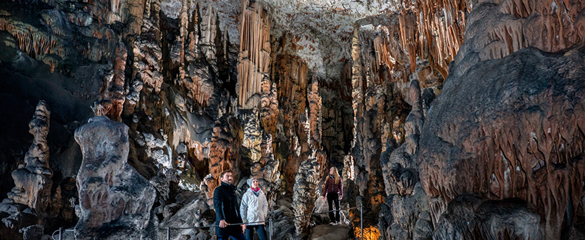 Izlet na Kras! Vođeni obilazak Divaške jame! - Kuponko.si