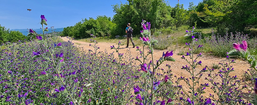 Hotel Malin, Krk: odmor s polupansionom - Kuponko.si