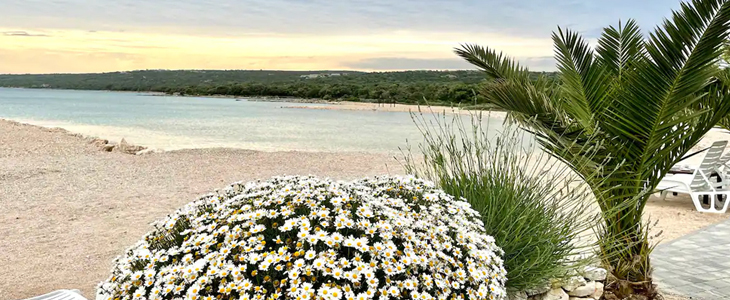 Apartmani Plava&Zlato, Pag Novalja - Kuponko.si