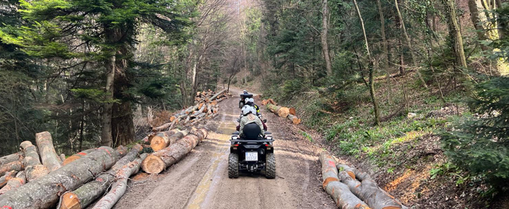 Trakošćan avantura, vožnja quadom - Kuponko.si