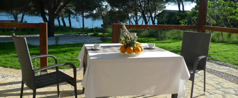 Apartmani Erica Pineta 4*, Novigrad: morski odmor - Kuponko.si