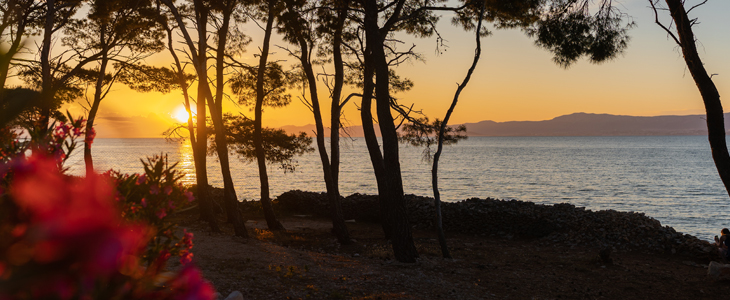 Boutique kamp Bunja, Brač: luksuzne mobilne kućice - Kuponko.si