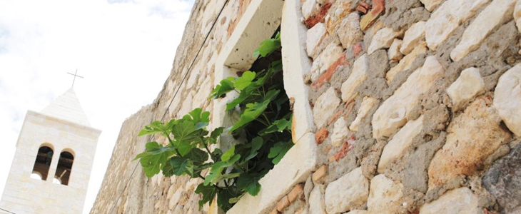 Aparthotel Tamarix 4*, Zadar: ljetni morski odmor - Kuponko.si