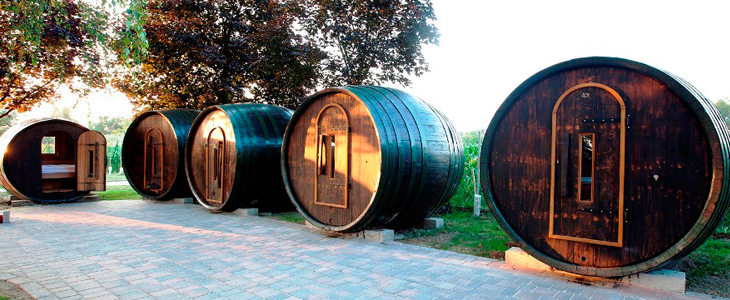 Glamping Vinsko selo Terme Ptuj: glamping u vinskoj bač - Kuponko.si