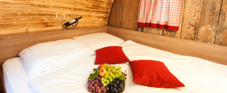 Glamping Vinsko selo Terme Ptuj: glamping u vinskoj bač - Kuponko.si