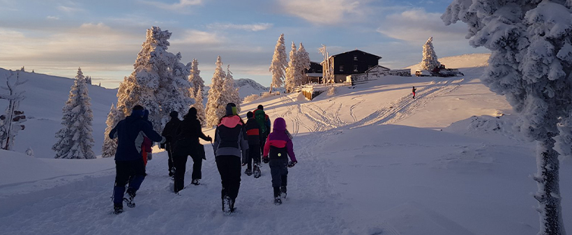 Velika planina resort, najam planinske kuće - Kuponko.si