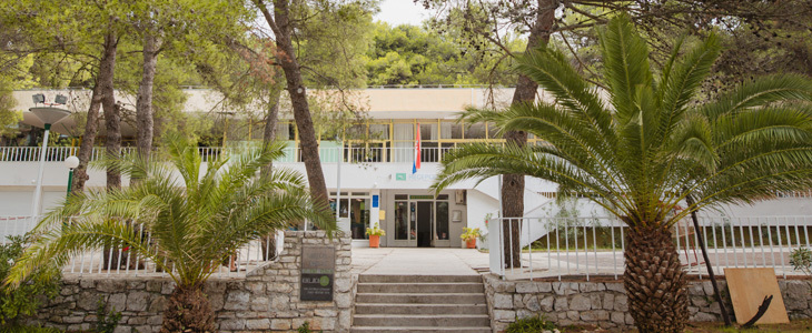 Resort Zelena Punta: odmor u apartmanima - Kuponko.si