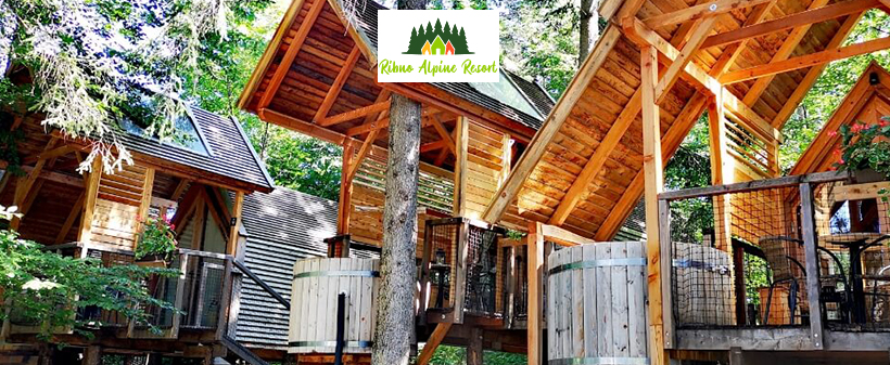 Glamping Ribno, Bled: odmor u prirodi - Kuponko.hr