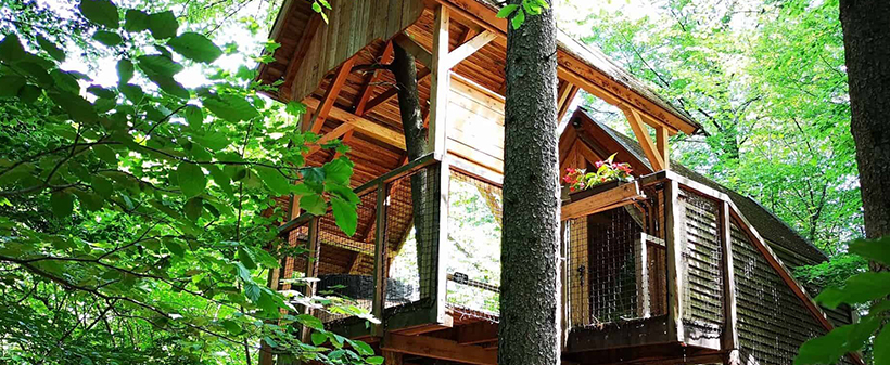Glamping Ribno, Bled: odmor u prirodi - Kuponko.hr